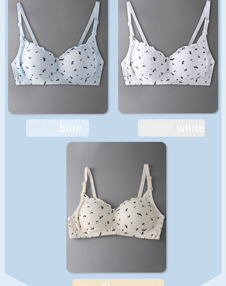 European Summer Romance: Floral Lace Wire-Free Bra - Ultra-Thin, Push-Up & Minimizer For Curvy Figures_voghion.com