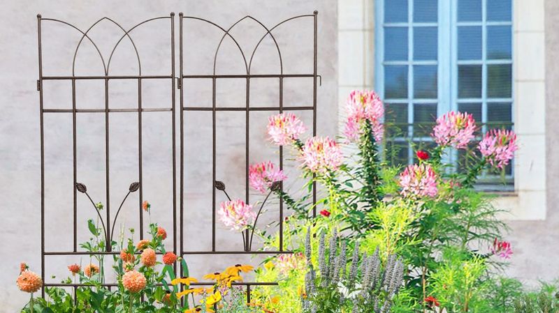 4 Pack Metal Garden Trellis 71" X 17.7" Rustproof Trellis For Climbing Plants Outdoor Flower Support_voghion.com