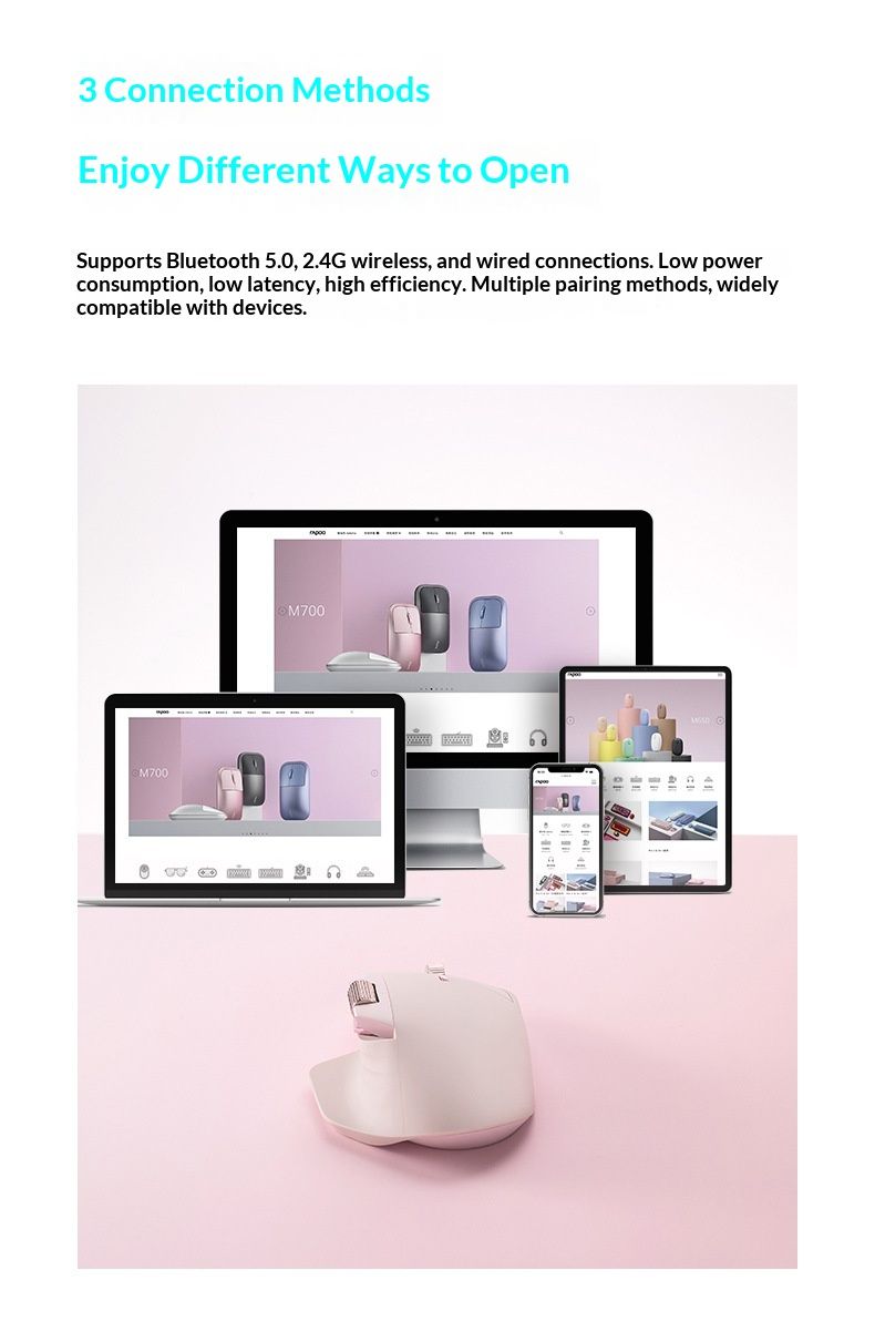 NeoGear RAPOO MT760 Kabellose Maus mit Dual-Modus, ergonomisch, für Desktop, Laptop, Büro, Herren_voghion.com