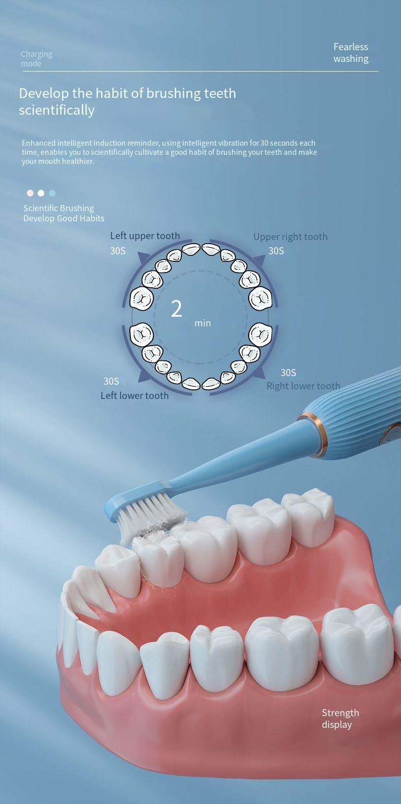 New Electric Toothbrush 5-Speed Smart Rechargeable DuPont Bristles Fully Automatic Student Gift Adult Version_voghion.com