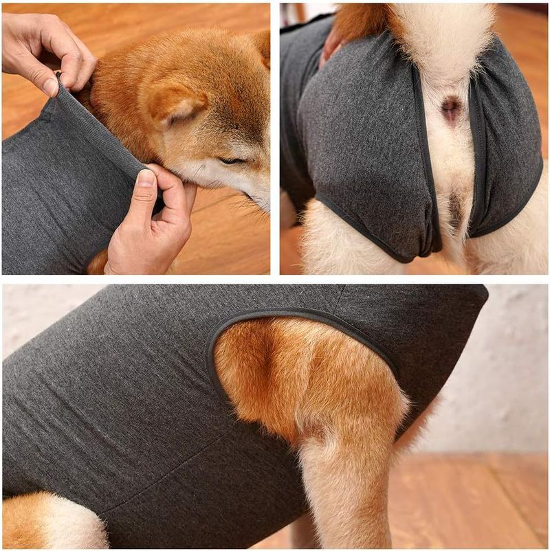 Colete de proteção fisiológica para cães, prevenção de lambidas e feridas, roupa para castração pós-cirúrgica_voghion.com