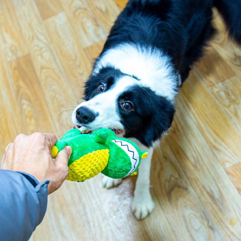Plyšová žvýkací hračka ve tvaru dinosaura_voghion.com
