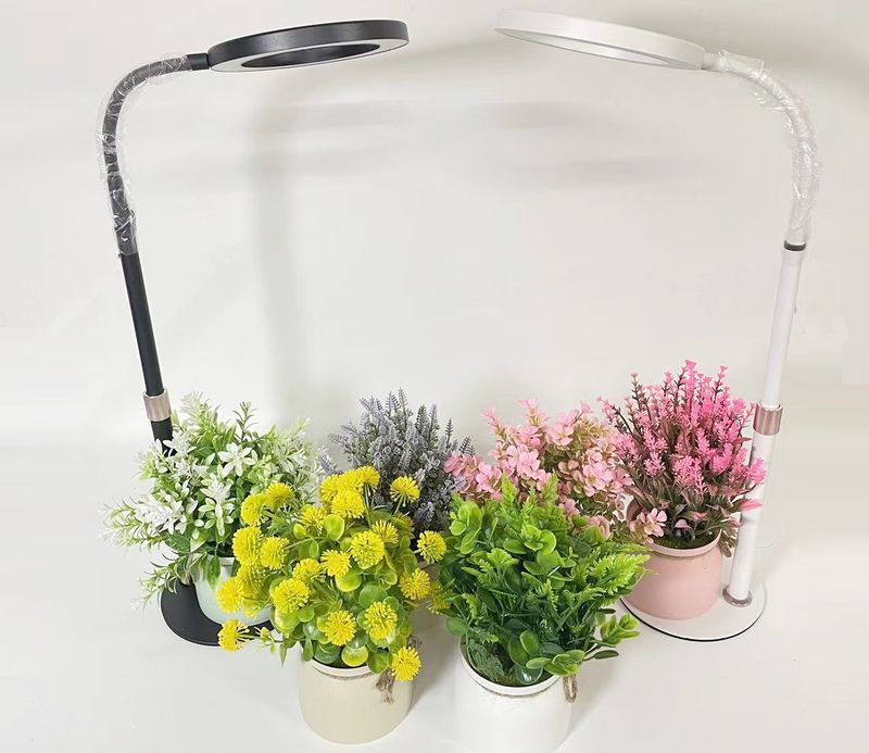 Lampada di crescita delle piante con anello d'angelo a LED, luce di riempimento per micro paesaggio, luce di riempimento per piantine di fiori succulenti, tipo USB%_voghion.com