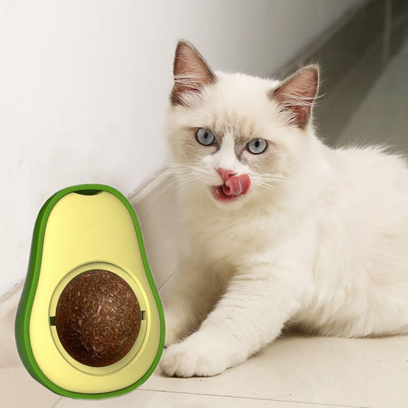 Guangying Katzenspielzeug, kreatives Zahnreinigungsspielzeug, rotierender Avocado-Katzenminze-Ball, Katzen-Kauspielzeug, Heimtierbedarf_voghion.com