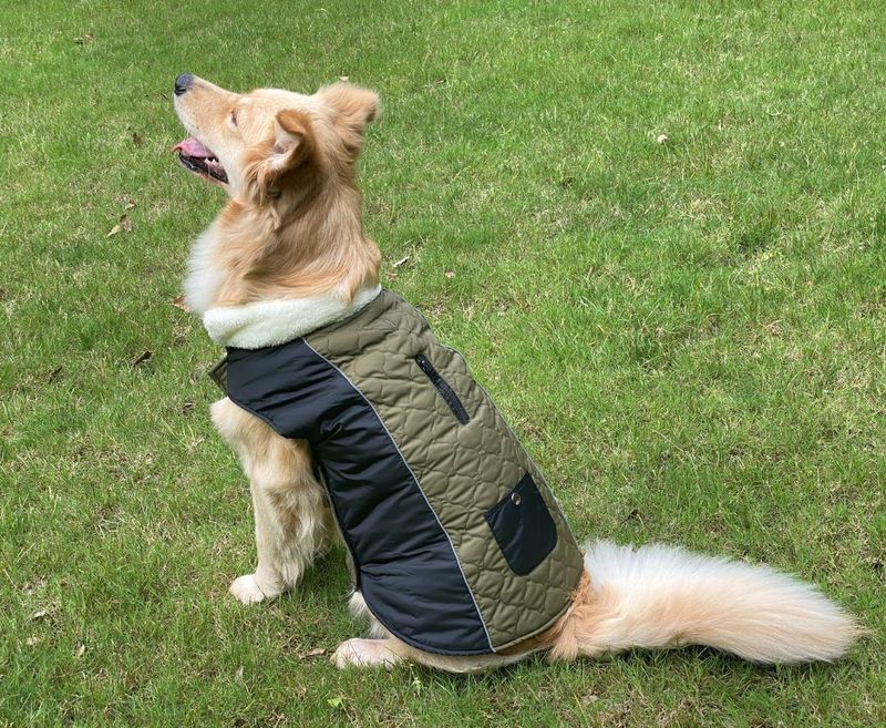 Pocket new pet clothes autumn and winter dog clothes vest cotton coat double sided wearable dog clothes coat clothing_voghion.com