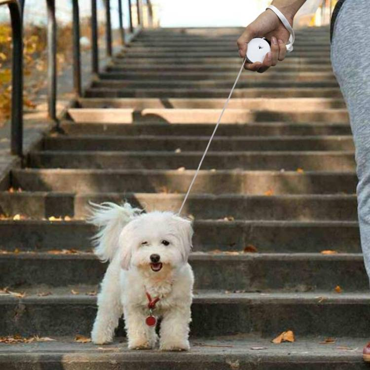 Telescopic Dog Traction Rope Small Pet Retractor_voghion.com