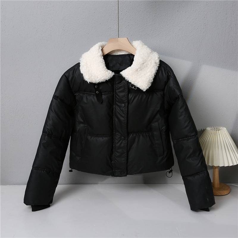Abbigliamento da donna in pelle PU cappotto invernale giacca corta invernale ispessita collo alto cappotto di piccole dimensioni collo di pelliccia cappotto_voghion.com