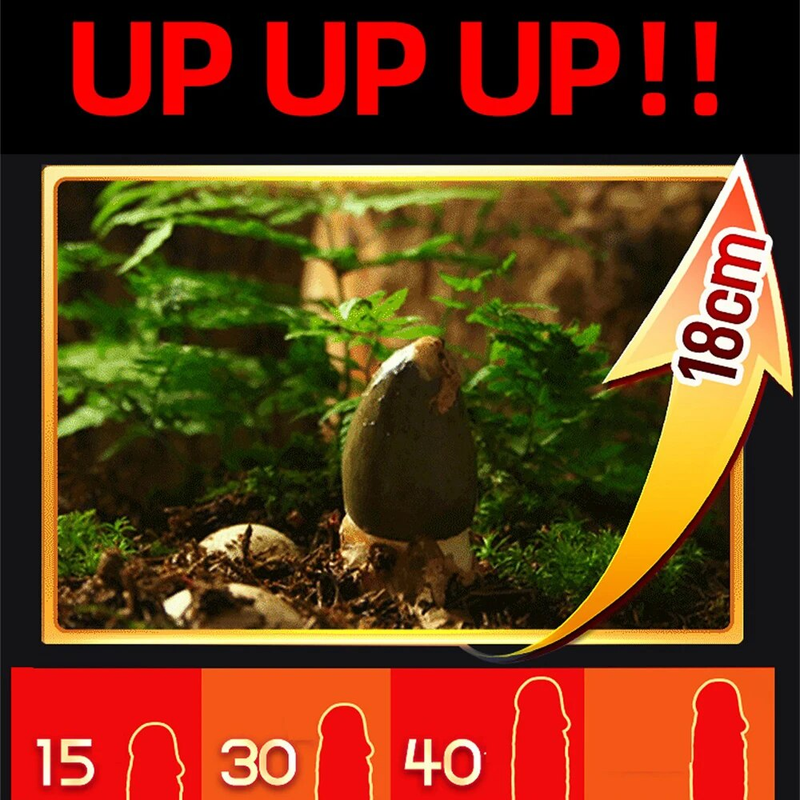 Enlargement Erection Oil  Enlarge Oil Cream Men Increasing and Thickening Growth Oil Delayed Ejaculation Tool for Men_voghion.com