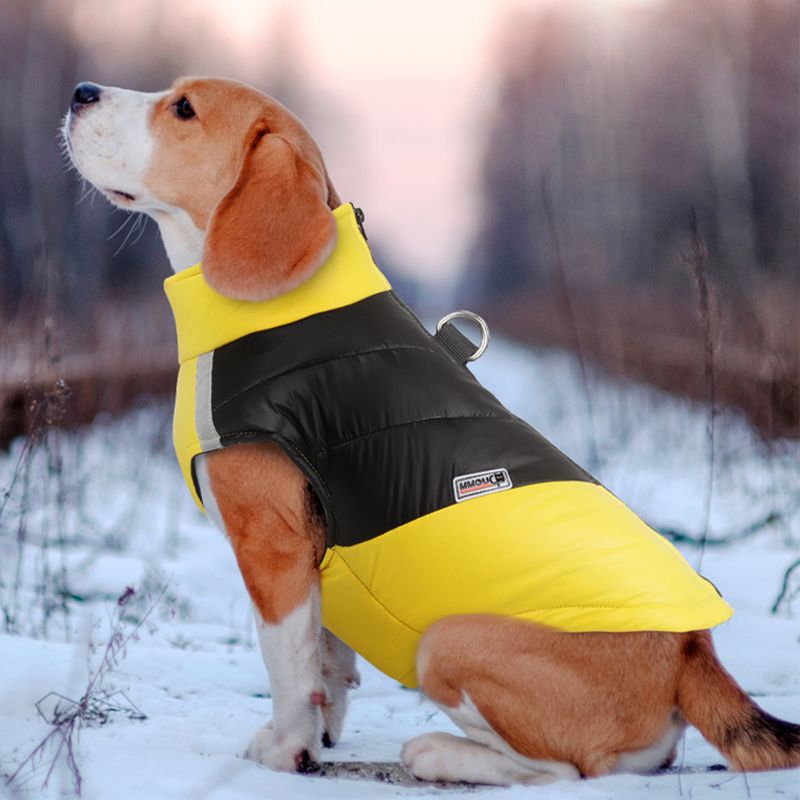 Abbigliamento impermeabile per cani di piccola e grande taglia, giacca riflettente, cappotto caldo per cuccioli, bulldog francese, barboncino, labrador di PawParty Store_voghion.com