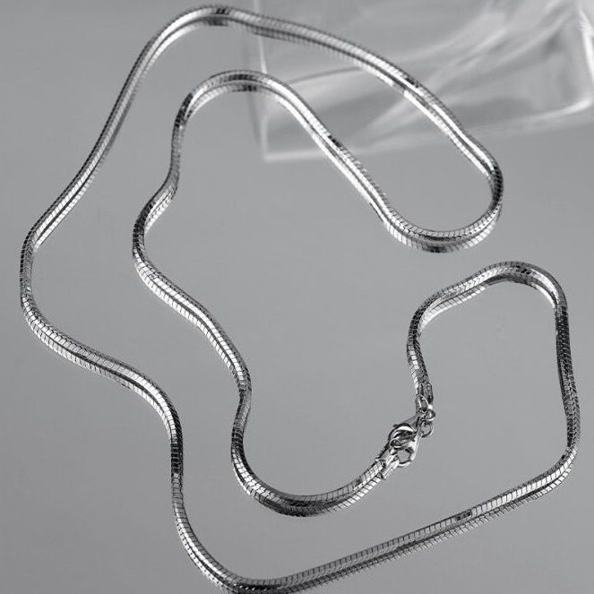 Snake Bone Necklace For Men Trendy High-End Clavicle Simple Neck Accessory Titanium Steel Thin Chain Versatile Men's_voghion.com