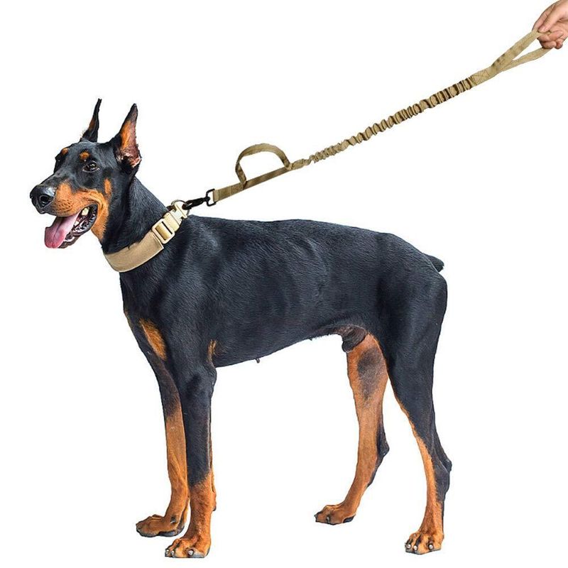 Coleira tática retrátil para treinamento ao ar livre com corda para cães_voghion.com