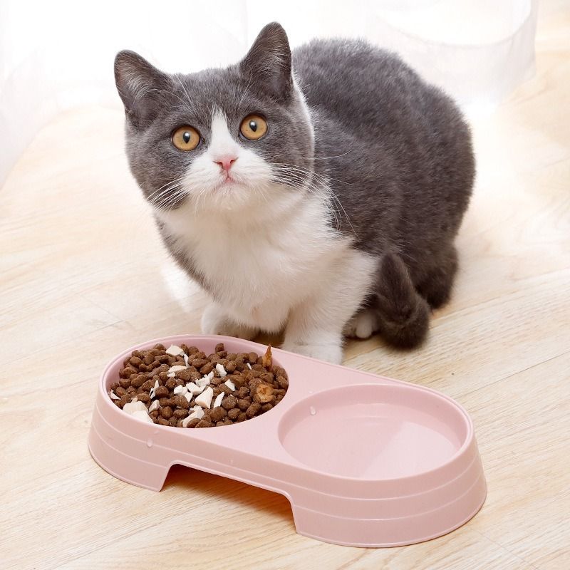 Star Fun Wassernapf für Hunde und Katzen, klein, doppelt, rosa/blau_voghion.com