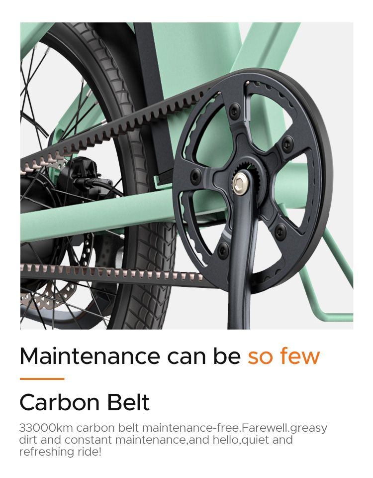 Bicicletta elettrica pieghevole ENGWE P20 da 20 pollici, motore con sensore di coppia da 250 W, batteria da 36 V e 9,6 Ah, freni a disco idraulici, bicicletta elettrica_voghion.com