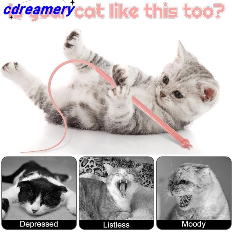 Jouet interactif pour chat, baguette en silicone, pour chat d'intérieur, pour chat adulte qui s'ennuie._voghion.com