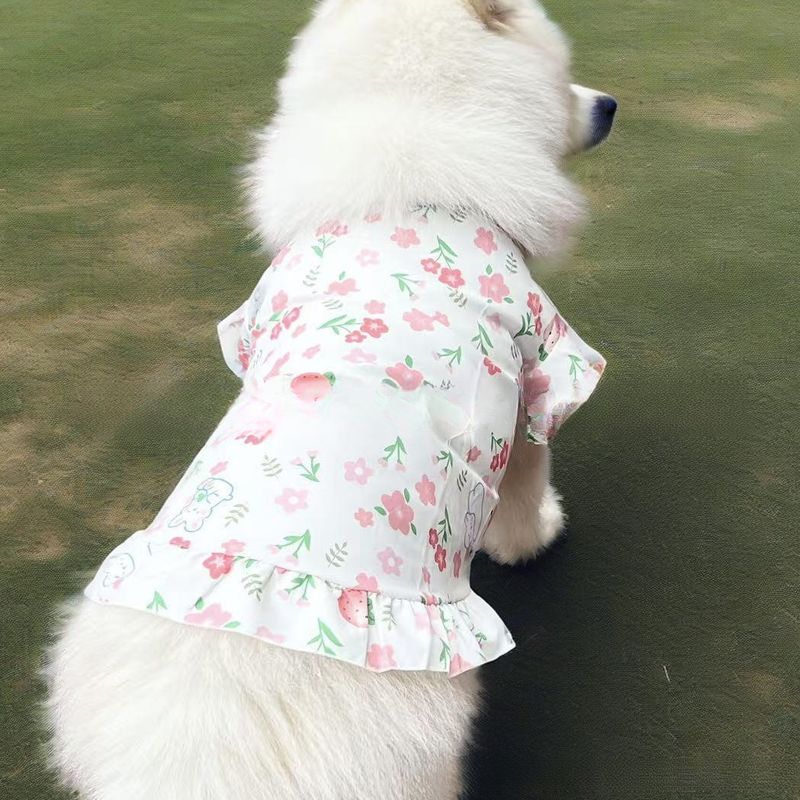Golden Retriever Weste Samojede Medium Große Dünne Kleidung Haustier Hund Labrador Border Collie Frühling Sommer Bekleidung_voghion.com