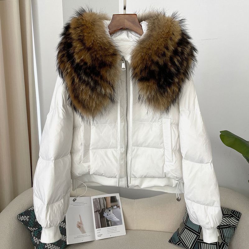 Women's Clothing Ready to stock detachable oversized raccoon fur collar winter women's short thickened white duck Warm jacket jacket flat coat coat_voghion.com