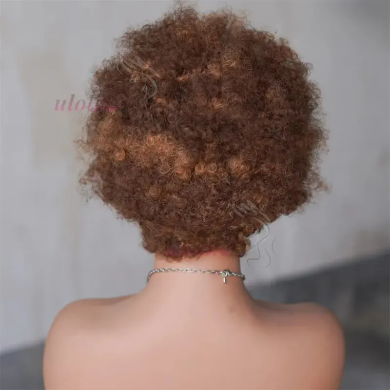 Afro Kinky Curly žmogaus plaukų perukas su kasytėmis 13x4 permatomas nėriniuotas priekis trumpas Bob perukas moterims_voghion.com