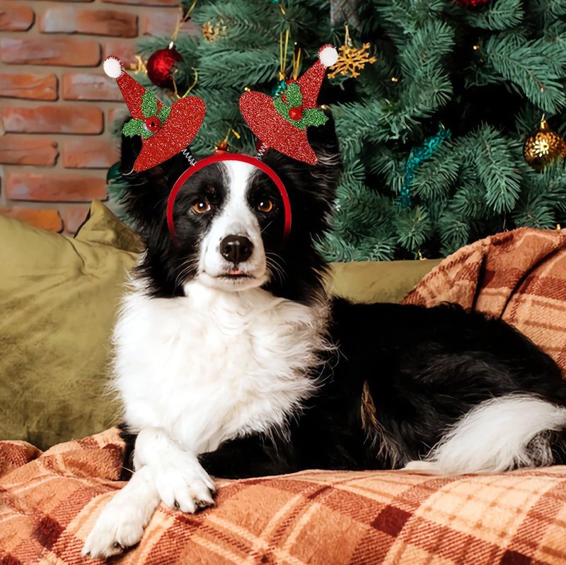 Jul Julepynt Julehårbånd til kæledyr Katte og hunde udklædt justerbart hårbånd fotorekvisitter_voghion.com