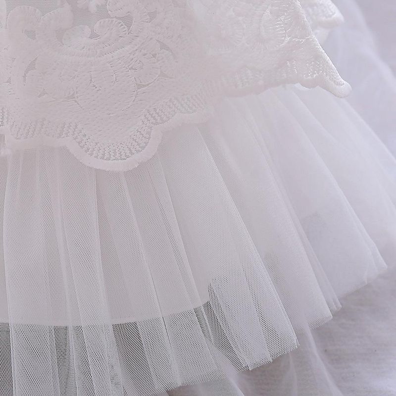 Children's New Infant And Toddler Princess Dress Full Moon And One Year Old Banquet Dress Embroidered Mesh Fungus Pleated Children's Dress_voghion.com