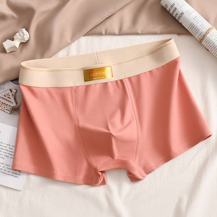4PCS high quality men's boxer shorts summer L-6XL_voghion.com