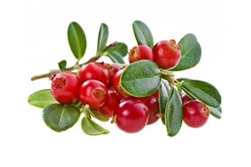 2 Pfund (908 Gramm) getrocknete Cranberry-Scheiben, Klasse A_voghion.com