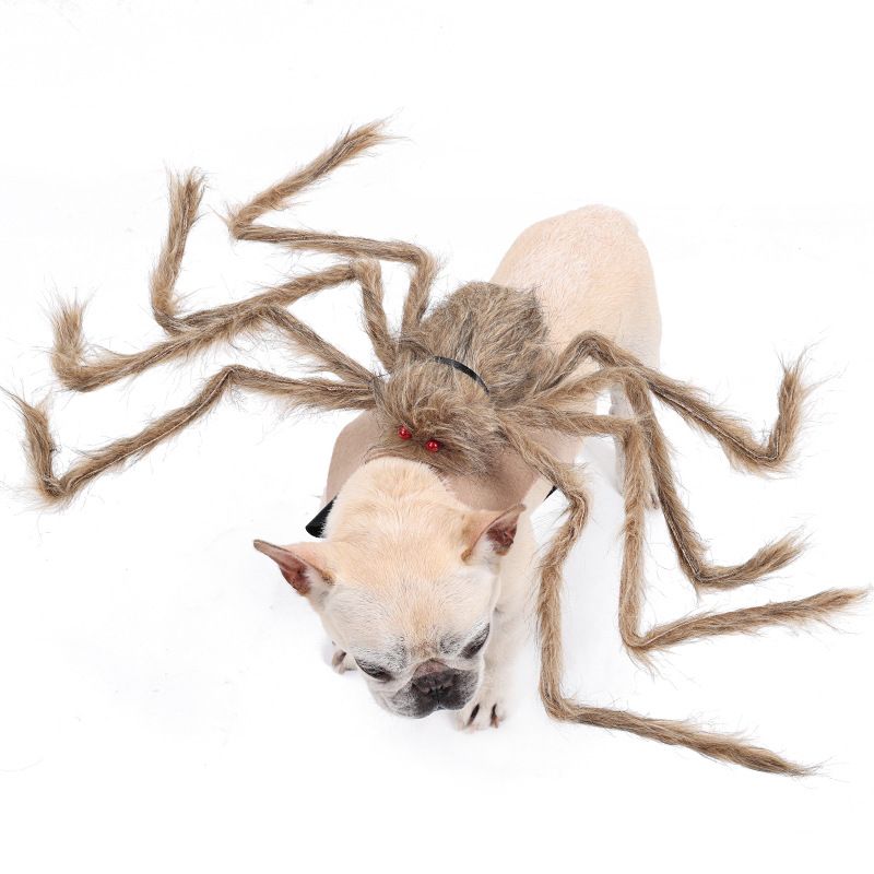 Halloween-Transformationskostüm, schwarze Spinne, Haustierdekoration, Geisterfest, groß, mittel, klein, Hunde, Katzen, lustige Kleidung_voghion.com