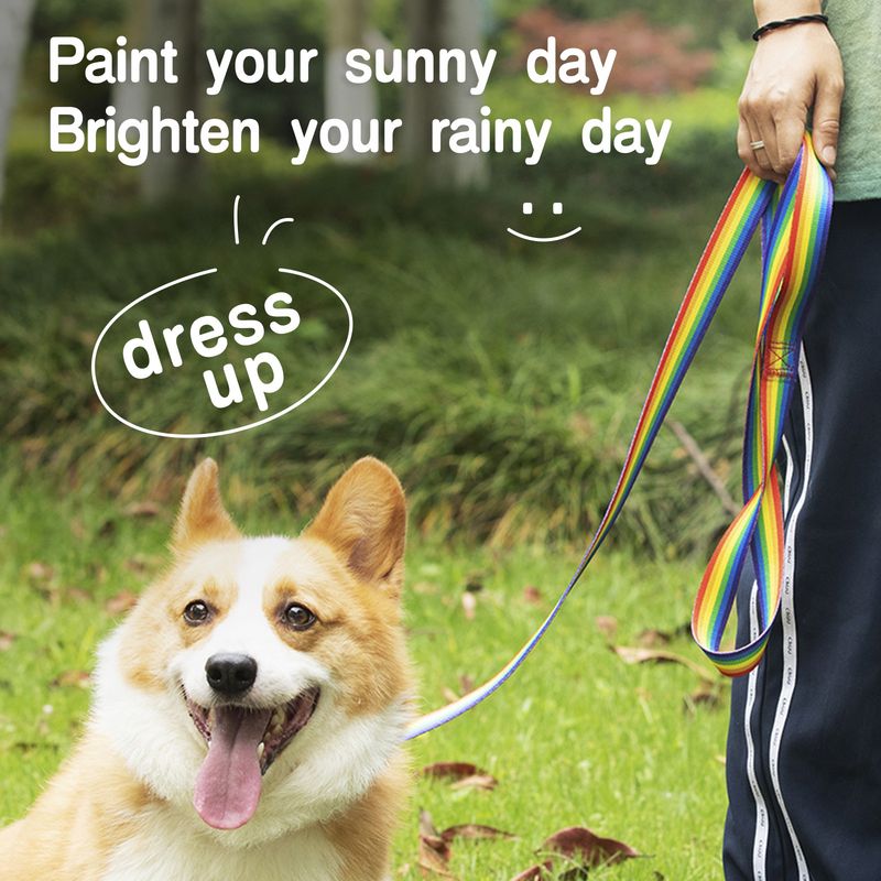 Nova coleira ajustável de nylon para cães pequenos e médios, coleira multicolorida com corrente de arco-íris e corda única para caminhada de cães_voghion.com