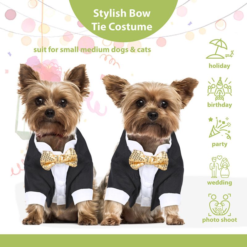 Vêtements pour chiots, smoking, robe de mariée, costume, Teddy, petit chien, vêtements pour animaux de compagnie_voghion.com