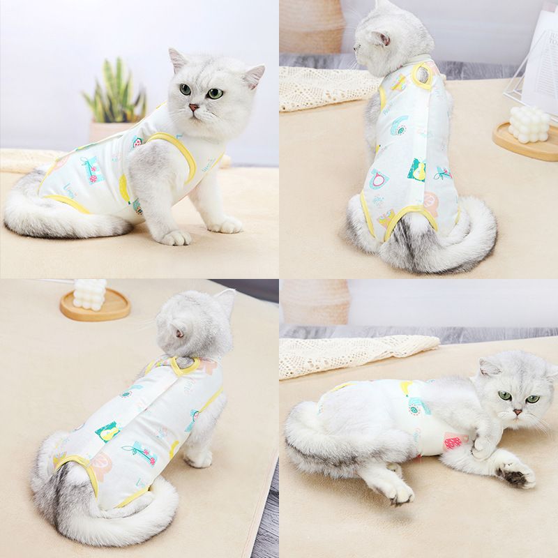 Vêtements de sevrage pour chirurgie de stérilisation féminine, doux, fins, à quatre pattes, anti-léchage, chauds_voghion.com