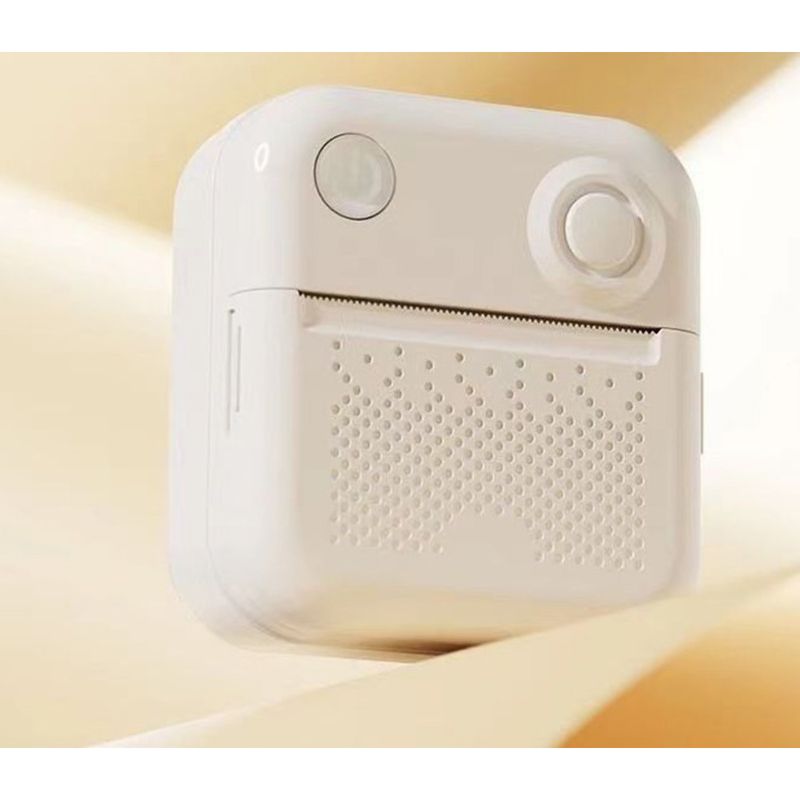 Mini Label Printer Thermal Portable Printing Photos Documents Error Correction Home Storage Machine_voghion.com
