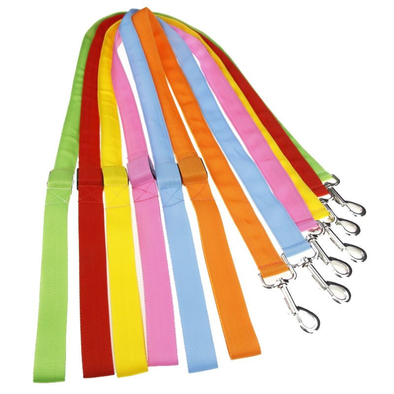 Hundeleine für den Außenbereich, 1,2 m, leuchtend_voghion.com