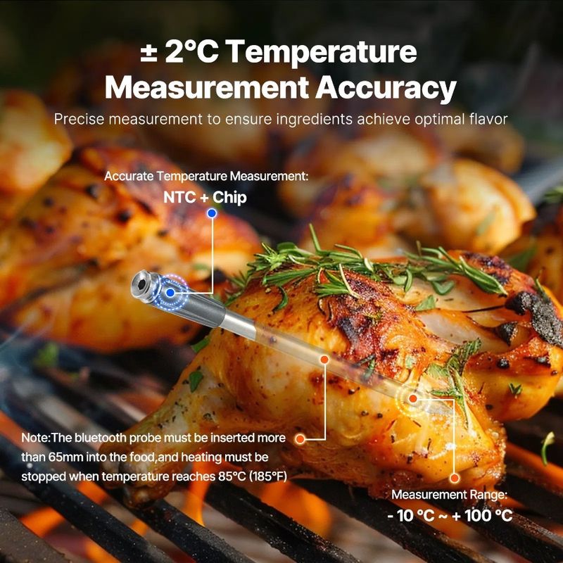 Per carne Termometro a due sonde wireless per carne Sonde Bluetooth per cottura_voghion.com