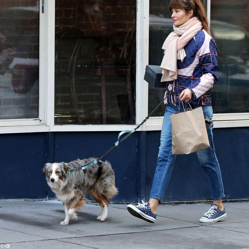 Running Outdoor Walking Anti-Burst Retractable Belt Leash Dog Rope_voghion.com