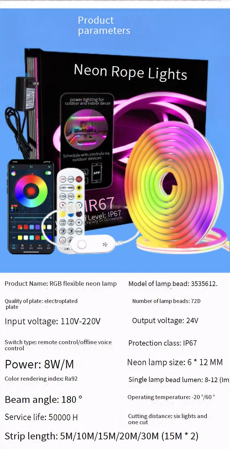 Casa e giardino Luce al neon vocale offline Rgb Smart Bluetooth 2.4g Luce esterna con luce modellante flessibile Set da 30 metri Disponibile in magazzino_voghion.com