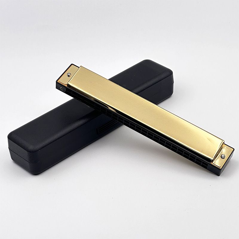 Chimei Little Doctor Children's 24 Holes Beginner Adult Student Classroom Use Entry-Level Performance C Key Polyphonic_voghion.com