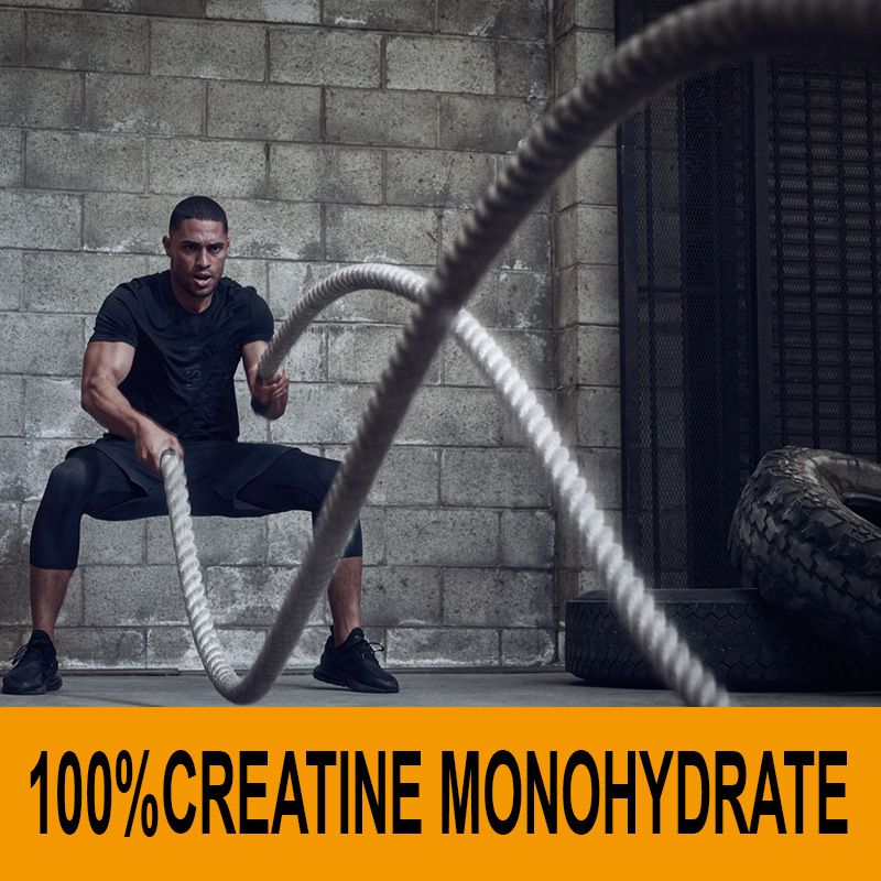 Außenhandel Export Monohydrat Kreatinpulver KREATIN MONHYDRAT_voghion.com