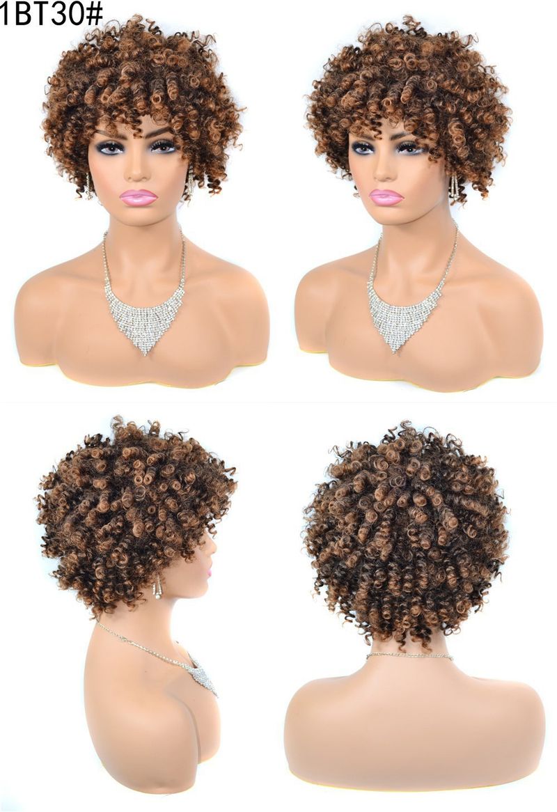 Afro verworrene lockige Perücken, kleine Schraube, lockige Perücke, Kopfbedeckung, flauschige afroafrikanische Perücke_voghion.com