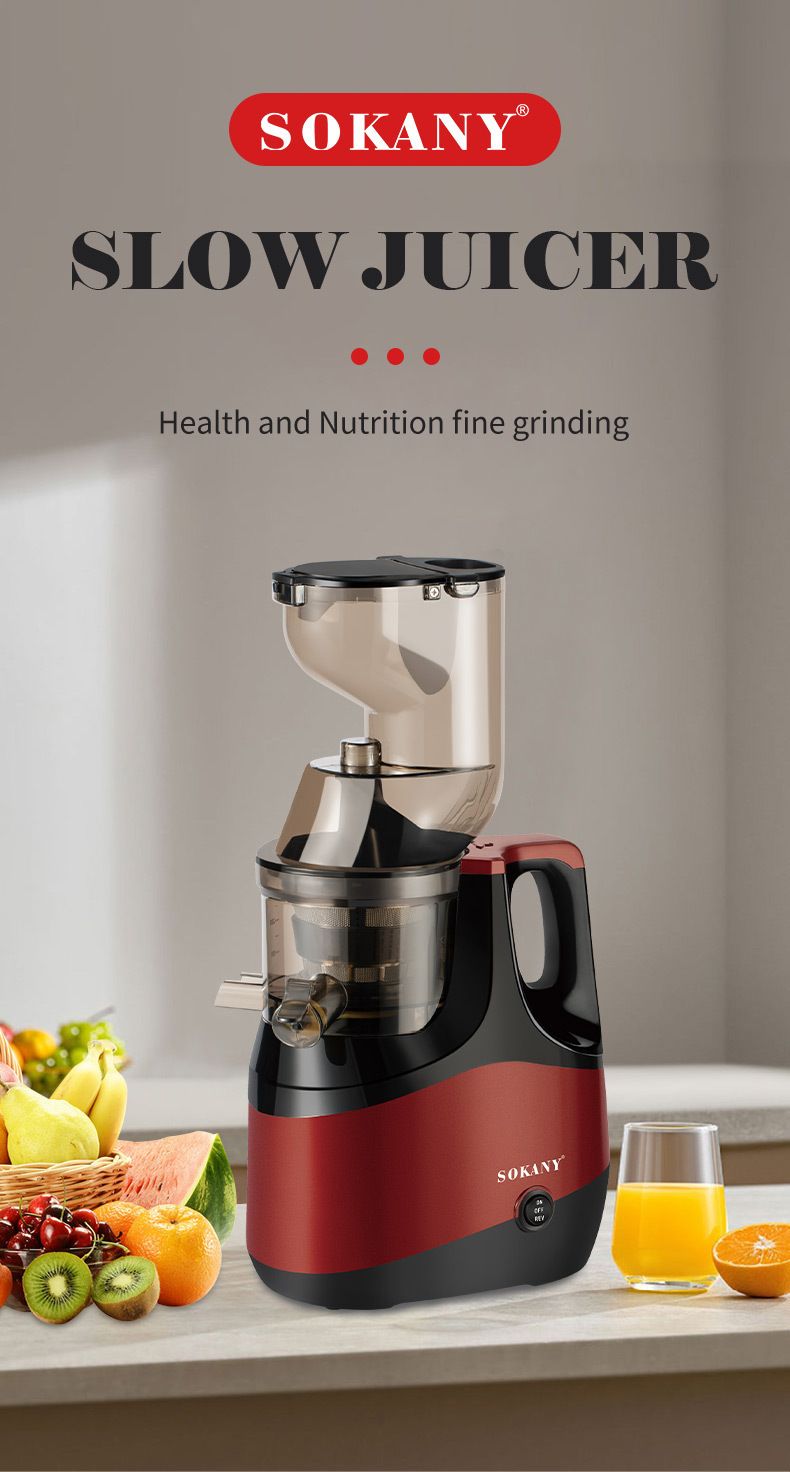 Estrattore di succo a masticazione lenta da 800 W, tecnologia di spremitura a freddo, grande tramoggia di alimentazione da 70 mm, elevata resa di succo, separazione della polpa, funzionamento silenzioso, funzione inversa, UE_voghion.com