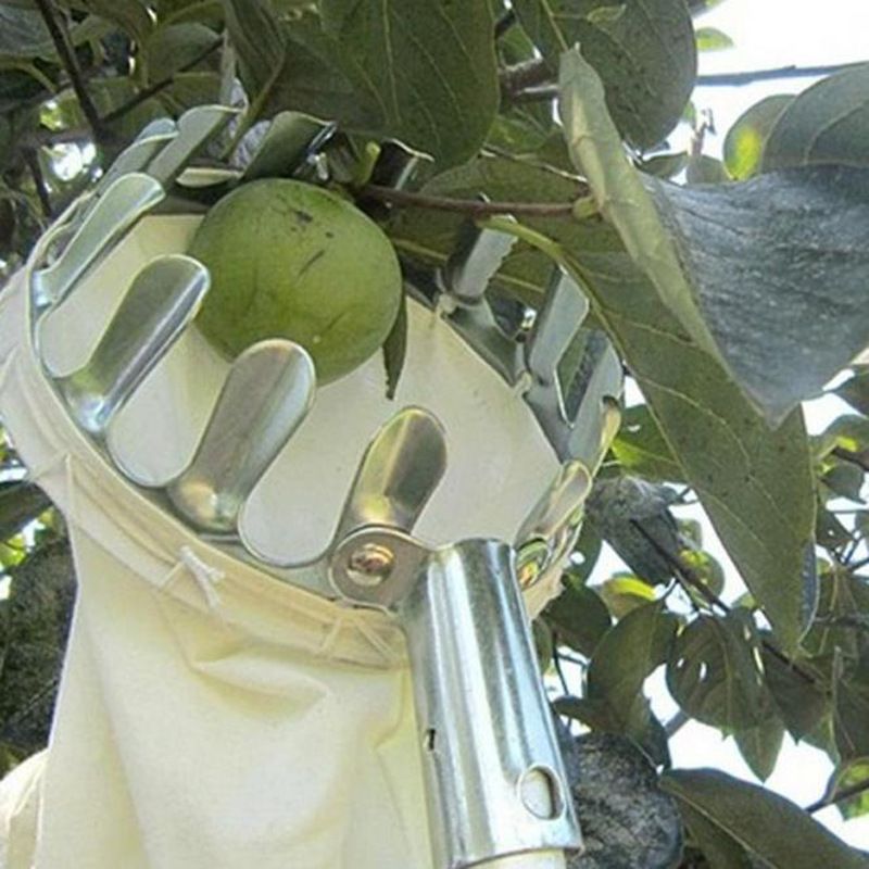 Portable fruit picker metal fruit picker high-altitude fruit picker Agricultural Garden hardware tools in stock_voghion.com