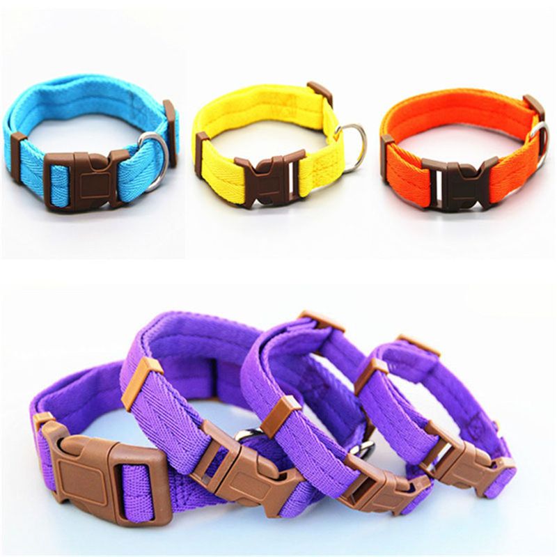 Supplies Large Small Dog Anti-Choking Multicolor Nylon Pet Collar_voghion.com