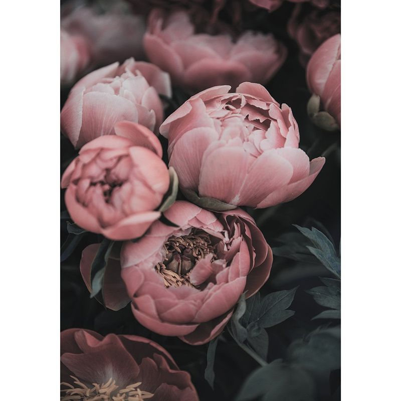 Tríptico de estilo nórdico INS, planta verde, pintura al óleo, lienzo decorativo, núcleo_voghion.com