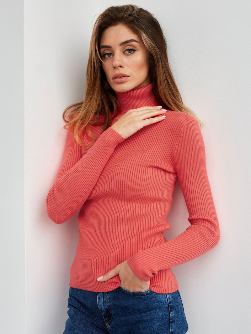 Women's Turtle Neck Knitted Bottoming Shirt Autumn Knitted Sweater Turtleneck Pullover Woman_voghion.com