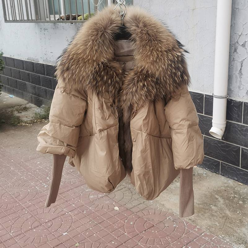 Abbigliamento da donna Giacca calda invernale da donna in vera pelliccia di procione con collo in vera pelliccia_voghion.com