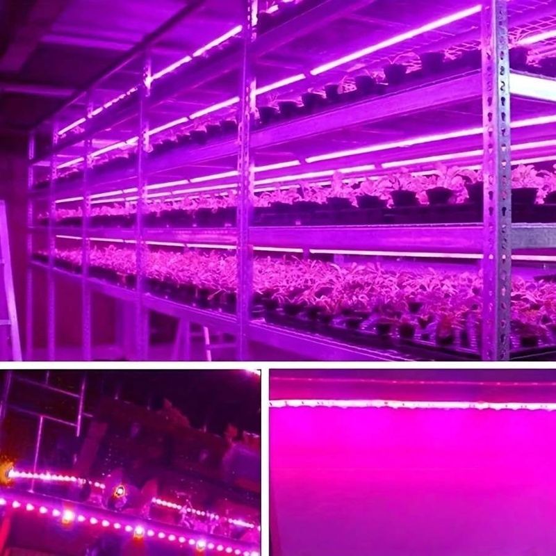 5V USB LED Plant Grow Light Strip With 2835 SMD LEDs, Full Spectrum For Indoor Plants, Flowers, And Herbs_voghion.com