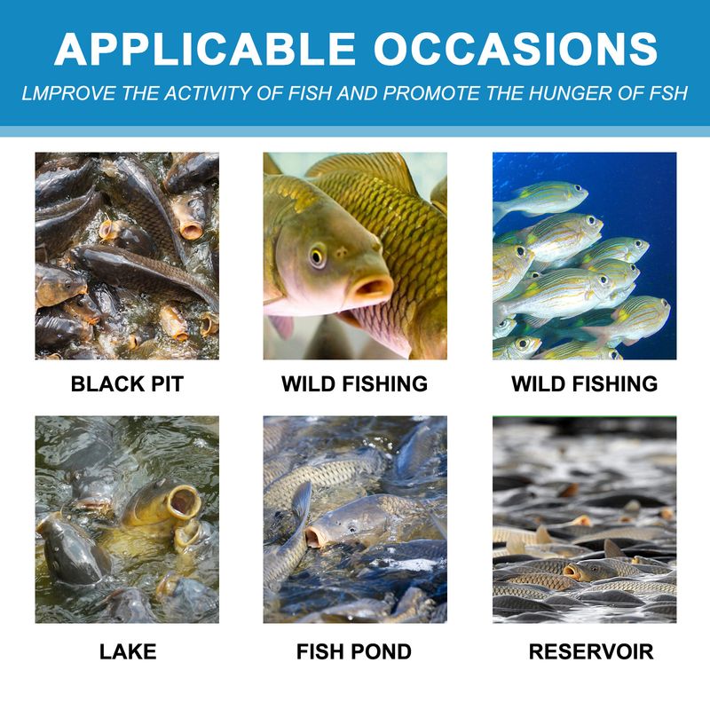 Yegbong Roter Wurm, Reservoir, See, Angeln, Süßwasser, Karpfen, Meeresköder, Fischlockstoff_voghion.com