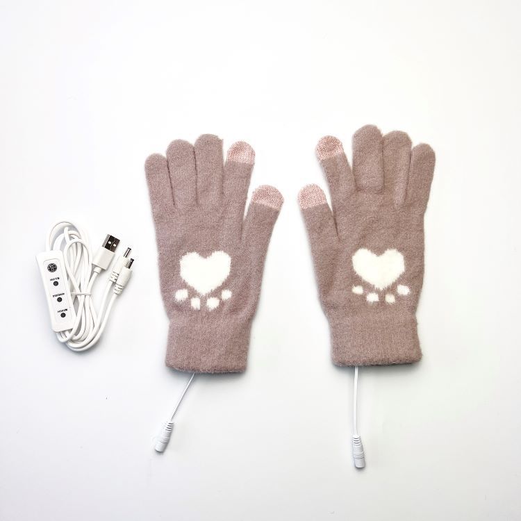 Guanti riscaldanti Guanti elettrici touch screen a 5 dita Modello con zampa d'orso jacquard per studenti adulti disponibile in attrezzatura USB3_voghion.com
