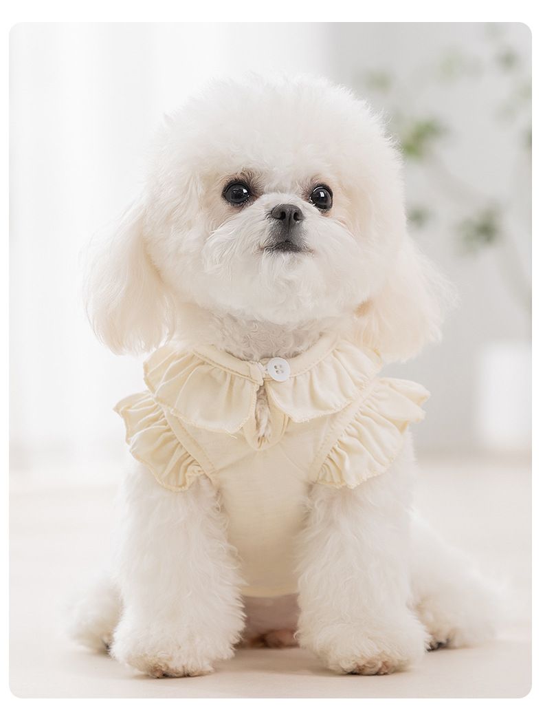 Spring And Summer Puppy Cartoon Print Lace Collar Traction Vest Small Teddy Bear Pet Dog Clothes_voghion.com