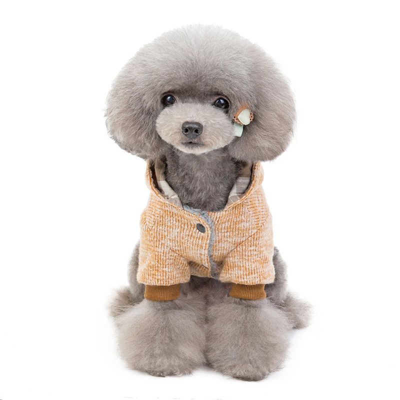 Cat Teddy Dog Höst- och vinterkläder för husdjur, fyrbenskläder, nya 19 Frog bomullskläder_voghion.com