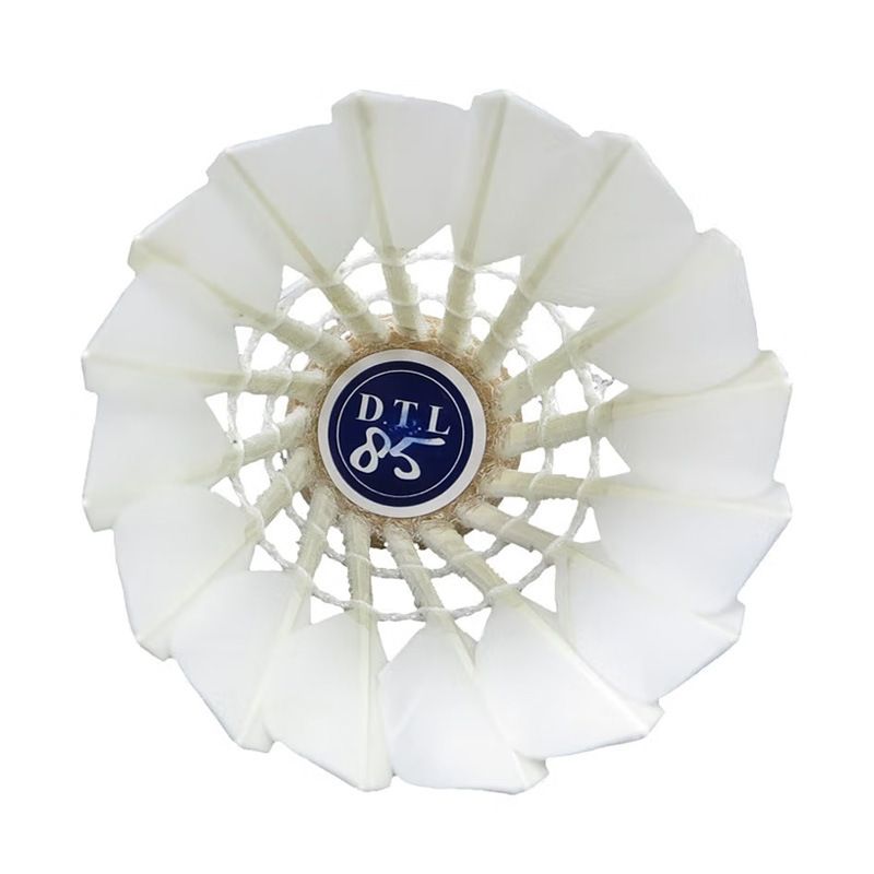 Yashilong RSL Training Practice Badminton Daltongli DTL-85 Tubo singolo venduto 12 pezzi/tubo_voghion.com