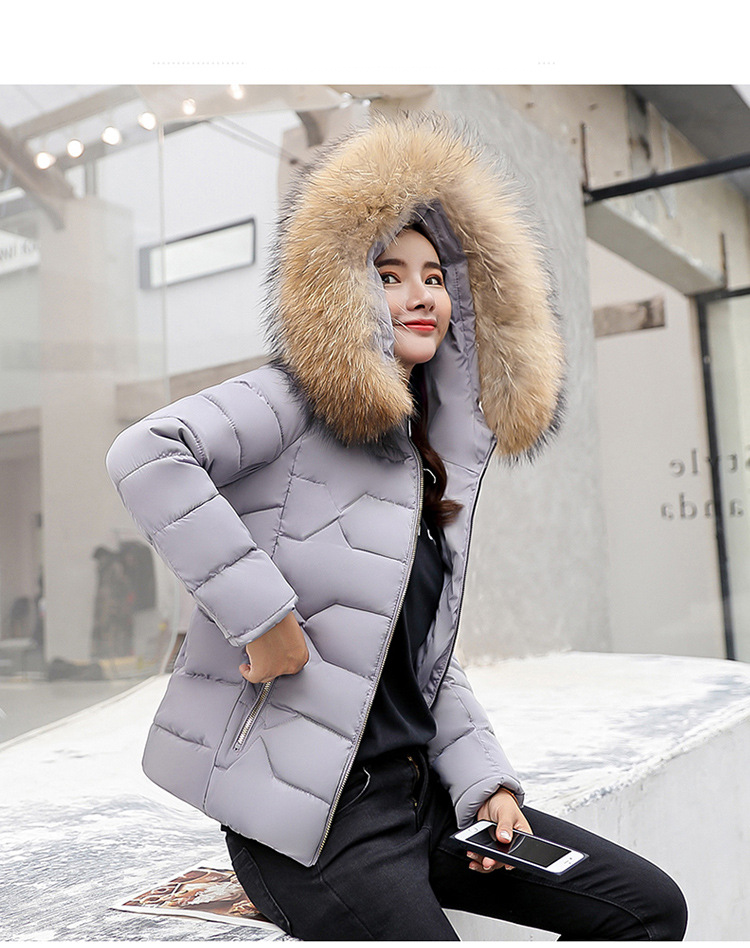 Dameskleding, korte gewatteerde jas met capuchon van imitatiebont, slim fit winterjas, warme gewatteerde bovenkleding voor vrije tijd en woon-werkverkeer (wit, grijs, zwart, roze)_voghion.com